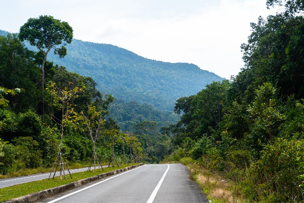 4D3N Phu Quoc Island Free and Easy Tour - photo 38
